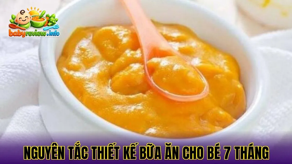 nguyên tắc thiết kế bữa ăn cho bé 7 tháng