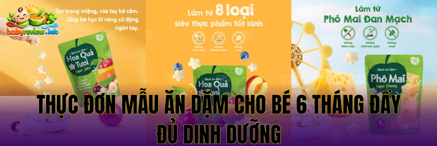 thực đơn mẫu ăn dặm cho bé 6 tháng đầy đủ dinh dưỡng