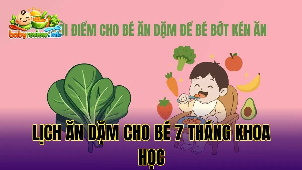 Lịch Ăn Dặm Cho Bé 7 Tháng Chuẩn Khoa Học Nhất