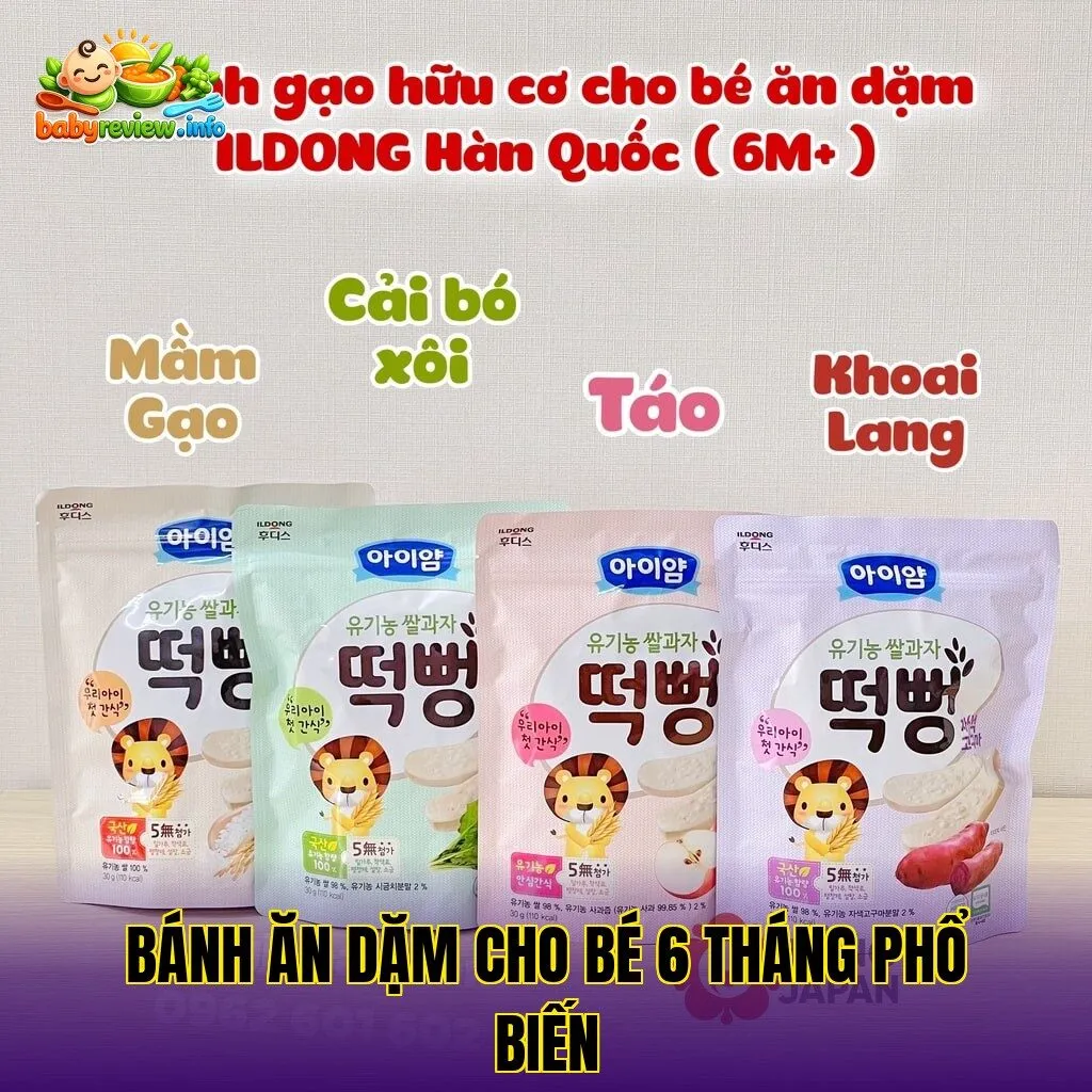 bánh ăn dặm cho bé 6 tháng phổ biến