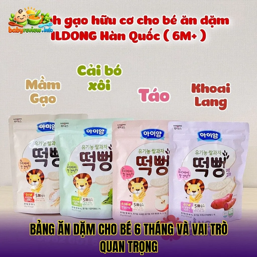 bảng ăn dặm cho bé 6 tháng và vai trò quan trọng