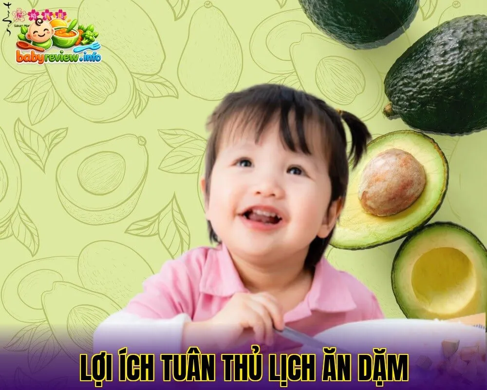 lợi ích tuân thủ lịch ăn dặm
