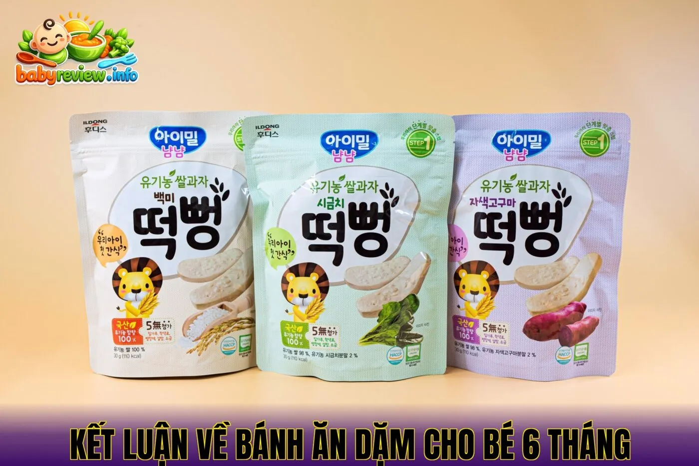 kết luận về bánh ăn dặm cho bé 6 tháng