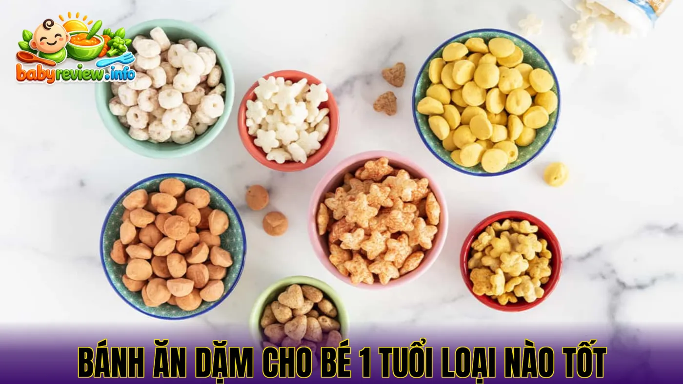 Bánh ăn dặm cho bé 1 tuổi loại nào tốt