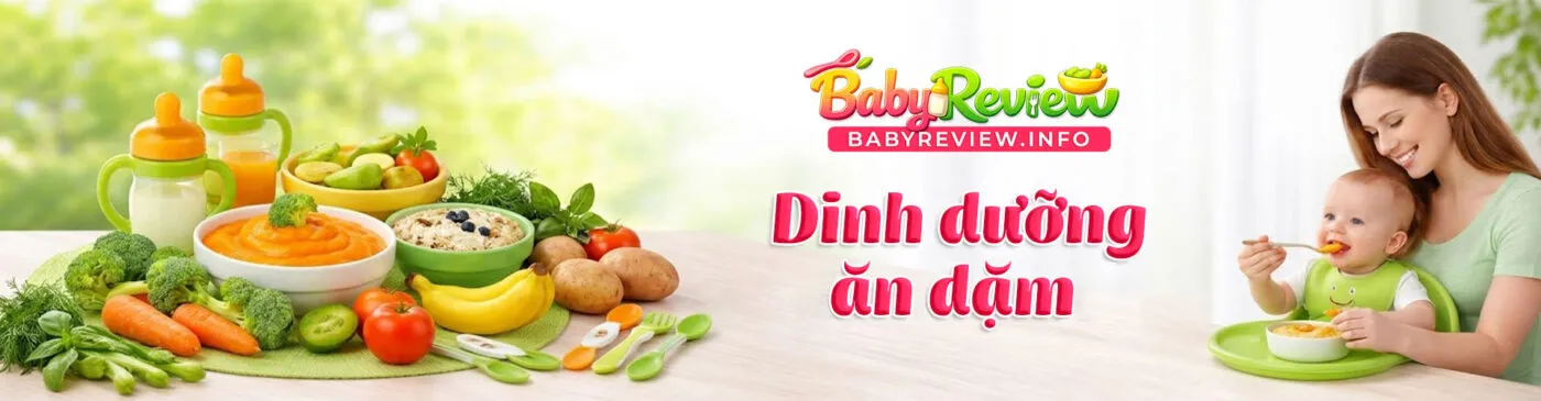 banner babyreview.info