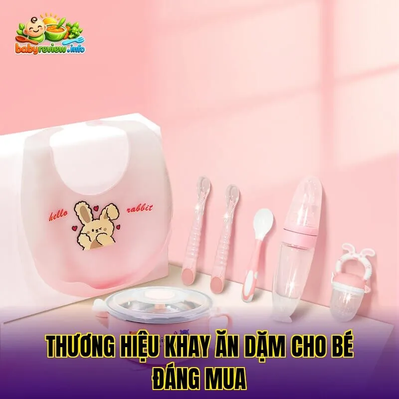 Thương hiệu khay ăn dặm cho bé đáng mua