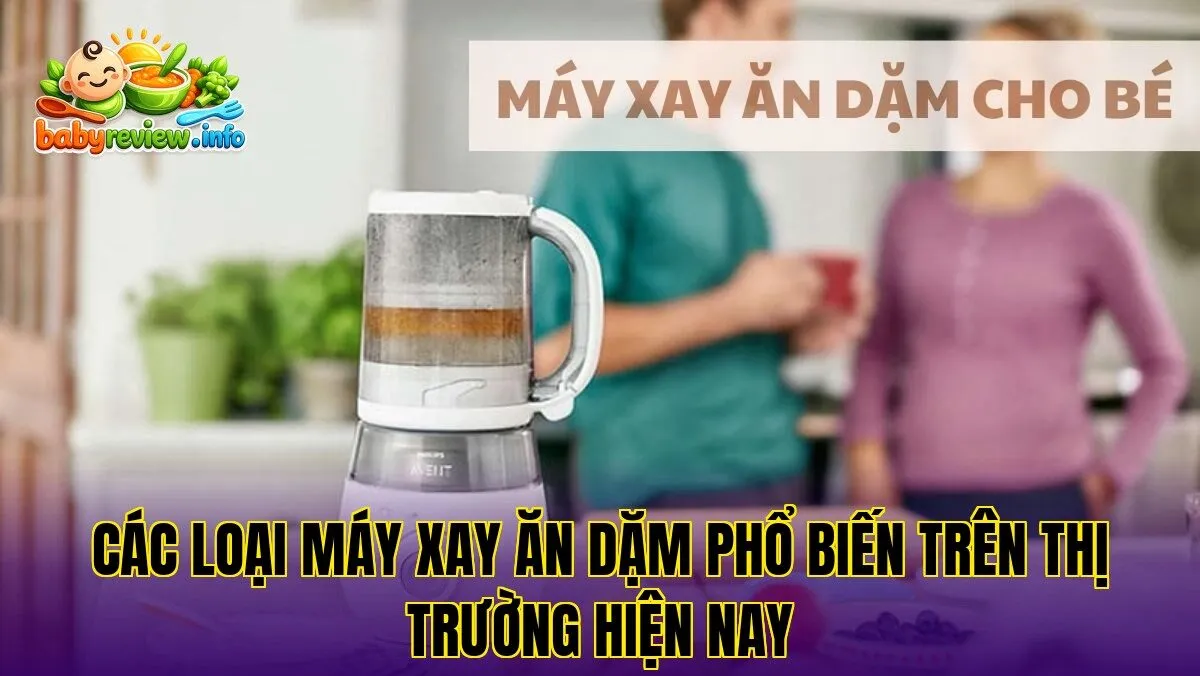 Các loại máy xay ăn dặm phổ biến trên thị trường hiện nay
