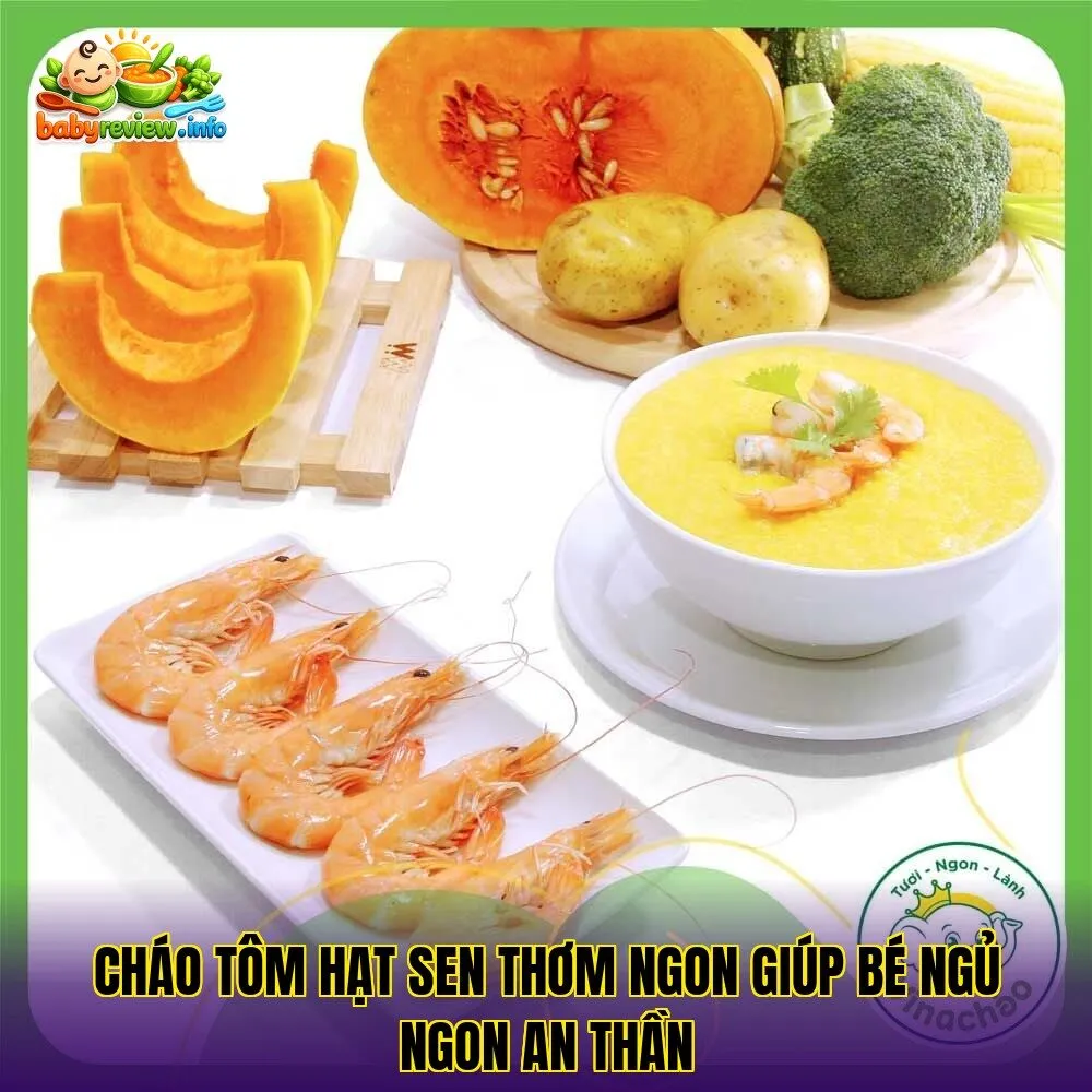 Cháo tôm hạt sen thơm ngon giúp bé ngủ ngon an thần