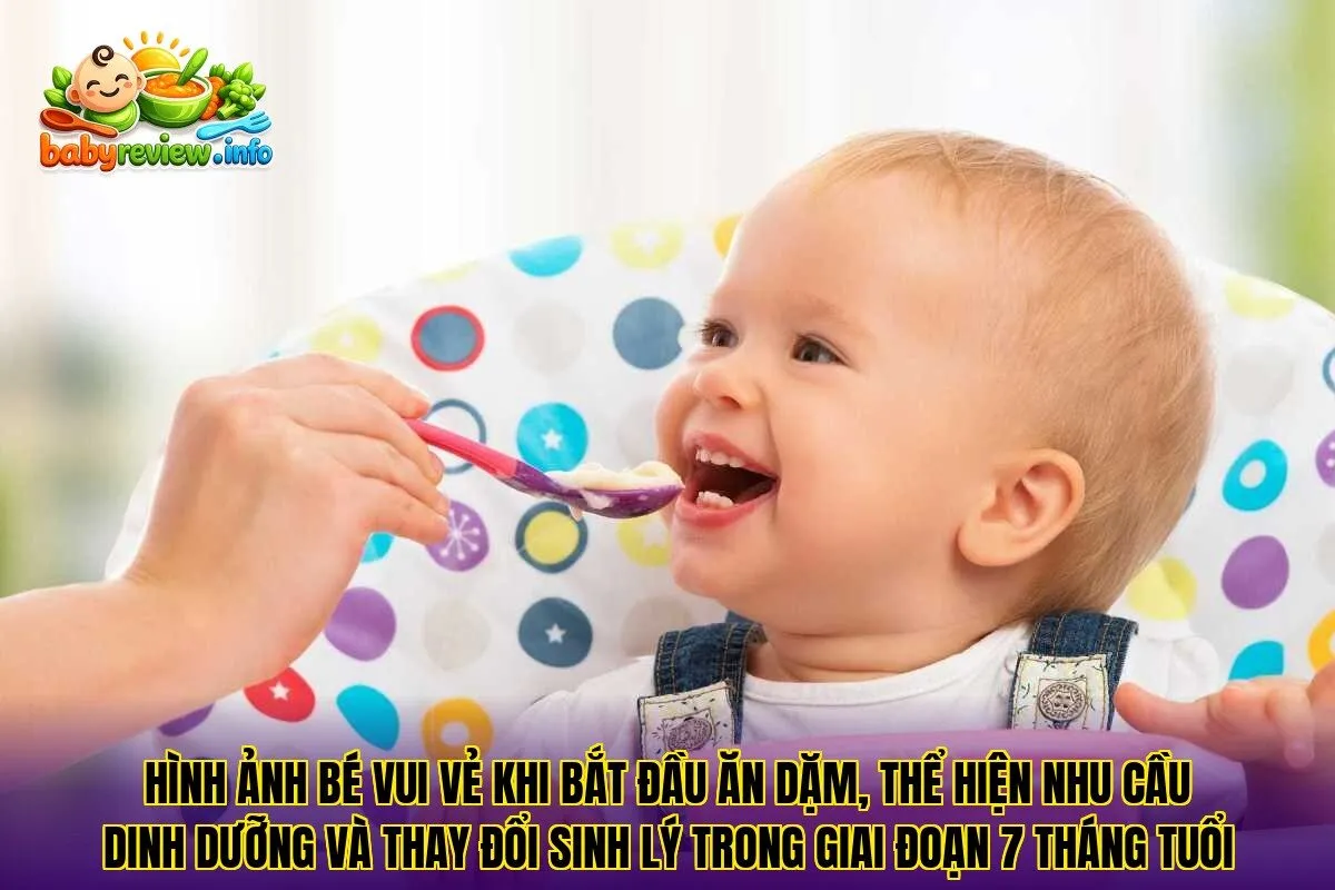 Hình ảnh bé vui vẻ khi bắt đầu ăn dặm, thể hiện nhu cầu dinh dưỡng và thay đổi sinh lý trong giai đoạn 7 tháng tuổi