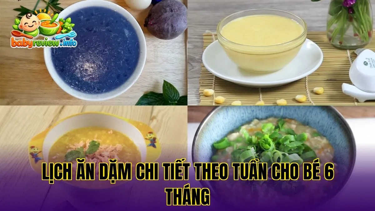 lịch ăn dặm chi tiết theo tuần cho bé 6 tháng
