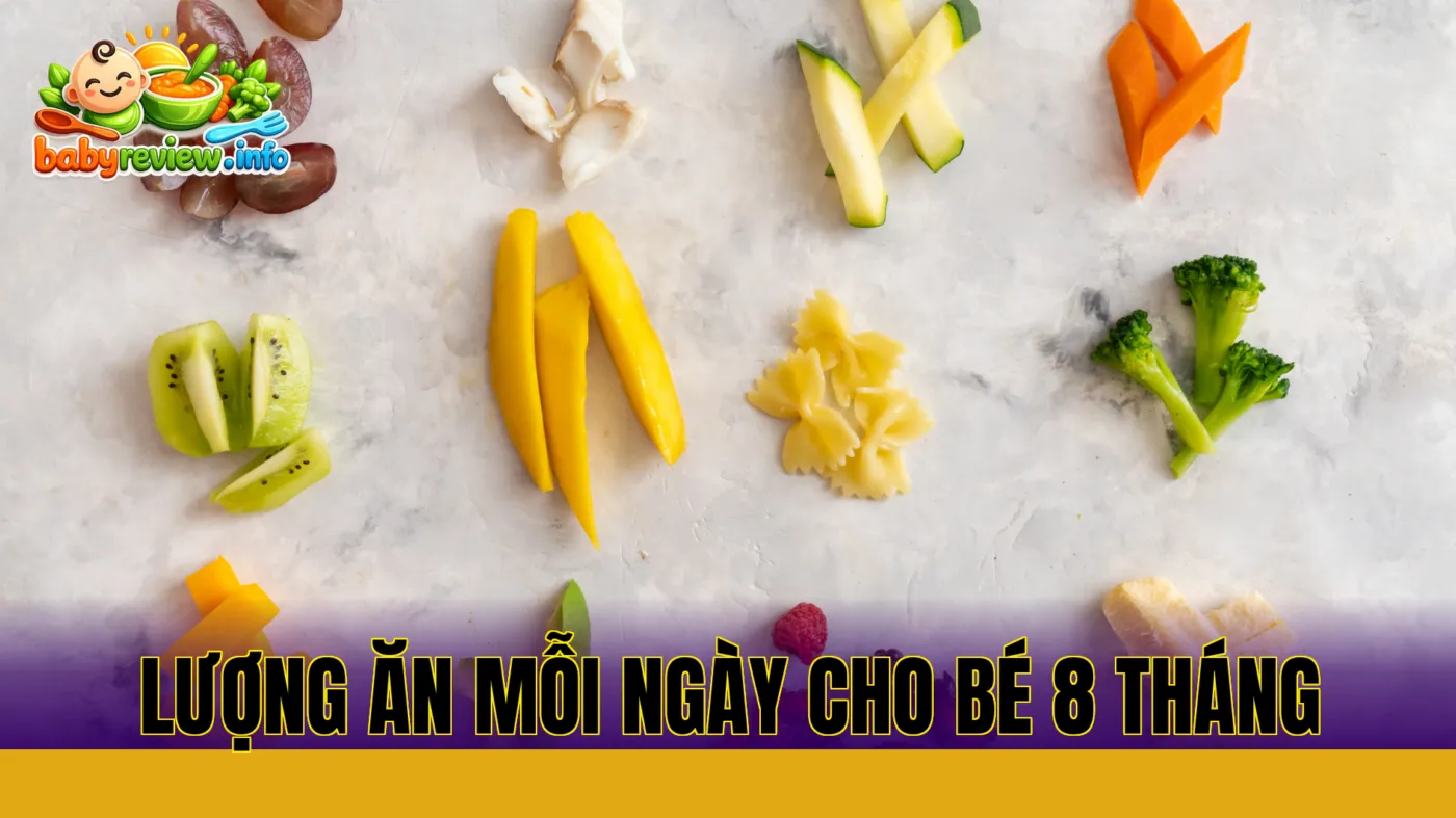 lượng ăn mỗi ngày cho bé 8 tháng