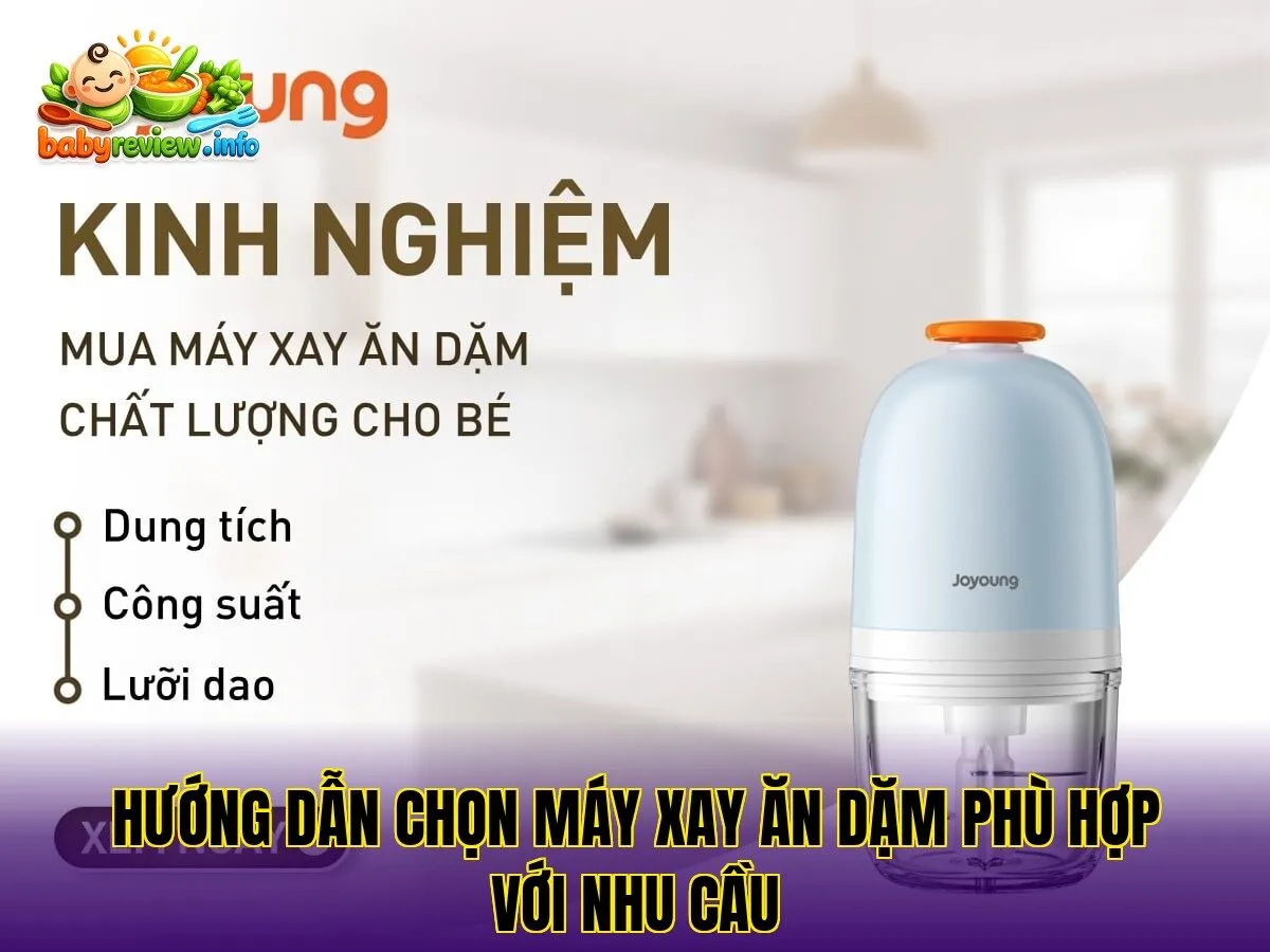 Hướng dẫn chọn máy xay ăn dặm phù hợp với nhu cầu