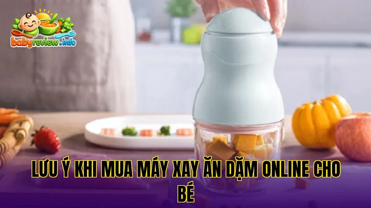 Lưu ý khi mua máy xay ăn dặm online cho bé