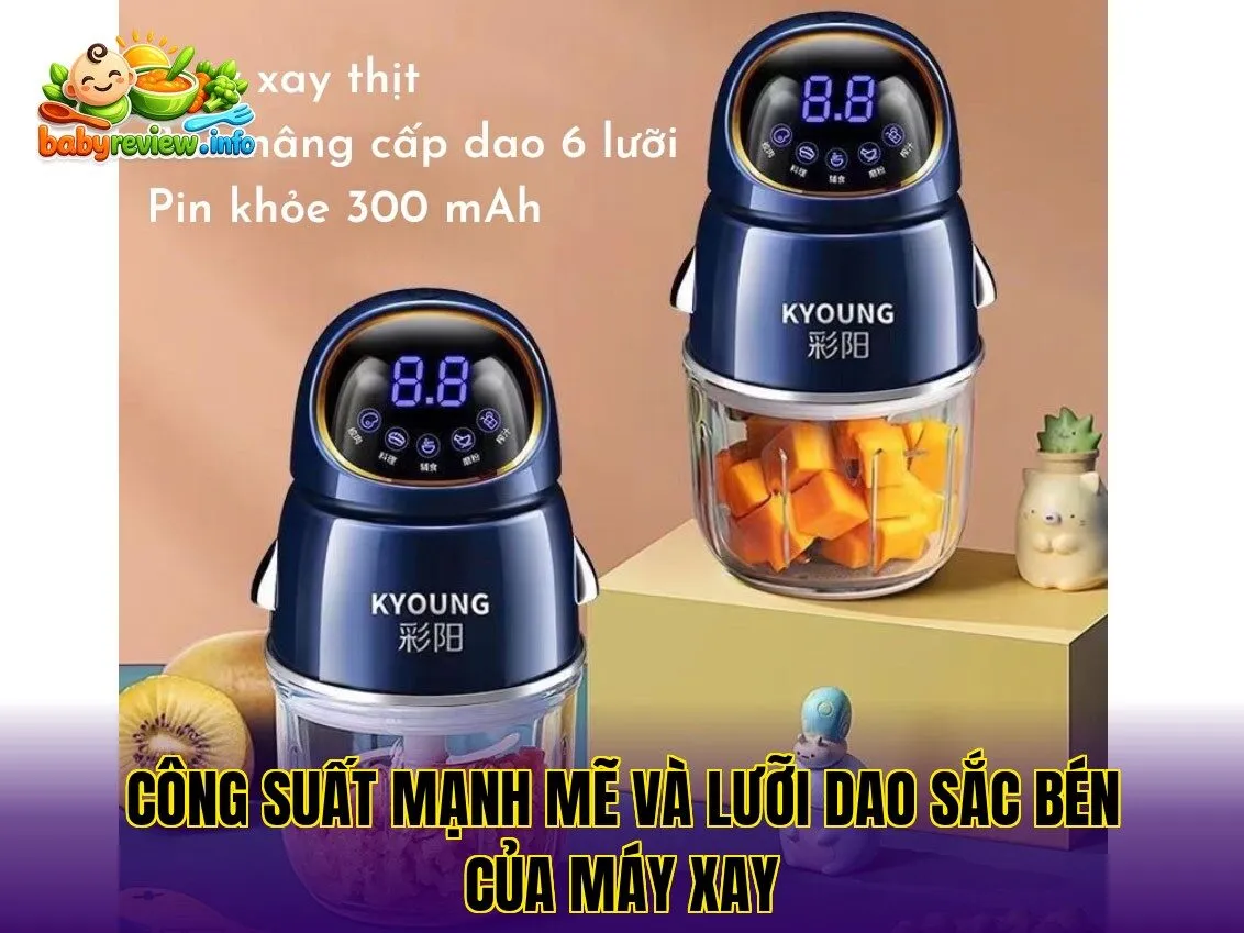Công suất mạnh mẽ và lưỡi dao sắc bén của máy xay