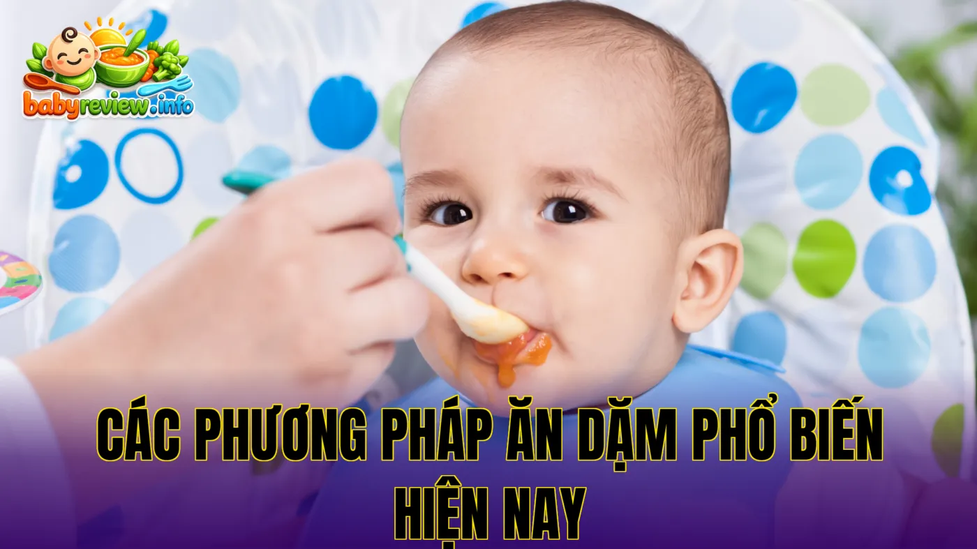 Các phương pháp ăn dặm phổ biến hiện nay