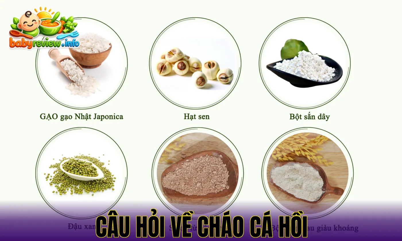 câu hỏi về cháo cá hồi