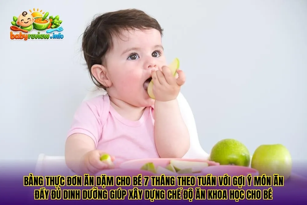 Bảng thực đơn ăn dặm cho bé 7 tháng theo tuần với gợi ý món ăn đầy đủ dinh dưỡng giúp xây dựng chế độ ăn khoa học cho bé