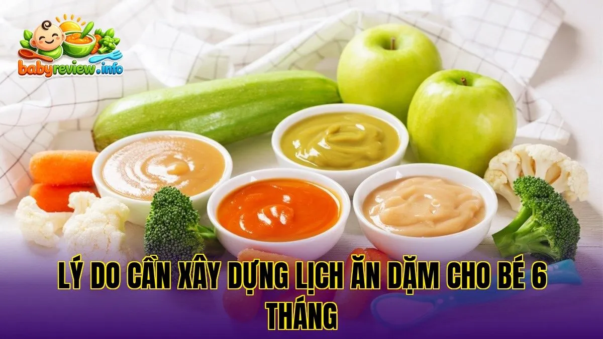 lý do cần xây dựng lịch ăn dặm cho bé 6 tháng