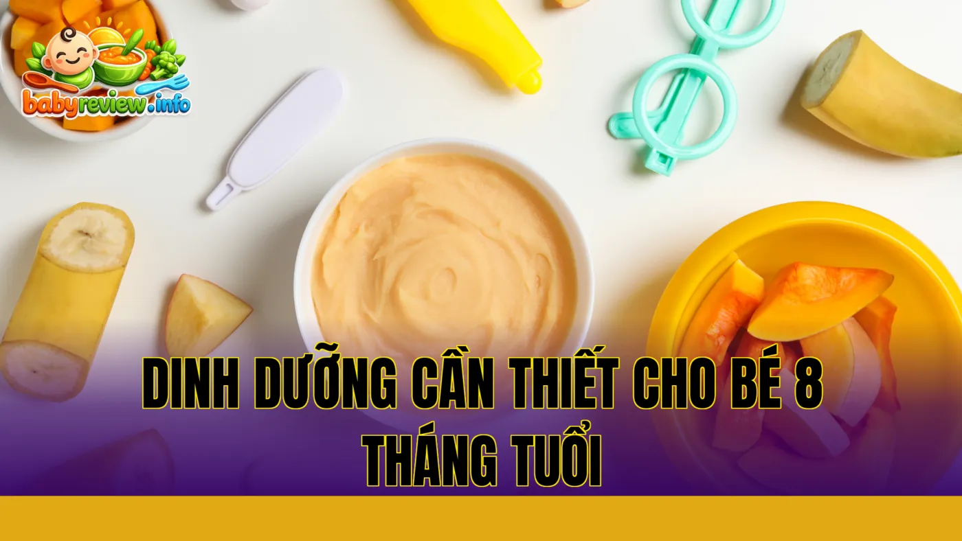 dinh dưỡng cần thiết cho bé 8 tháng tuổi