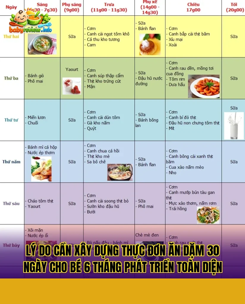 lý do cần xây dựng thực đơn ăn dặm 30 ngày cho bé 6 tháng phát triển toàn diện