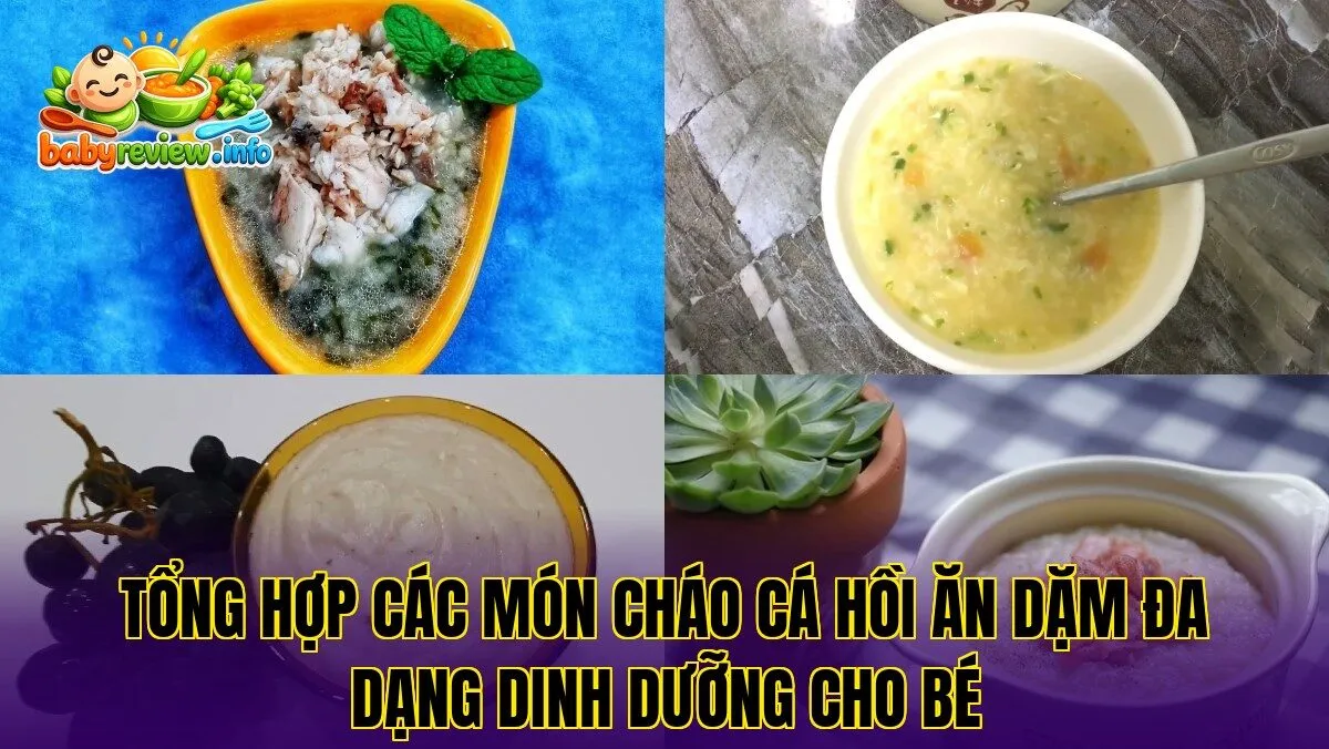 Tổng hợp các món cháo cá hồi ăn dặm đa dạng dinh dưỡng cho bé