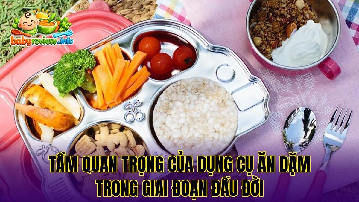 Tầm quan trọng của dụng cụ ăn dặm trong giai đoạn đầu đời