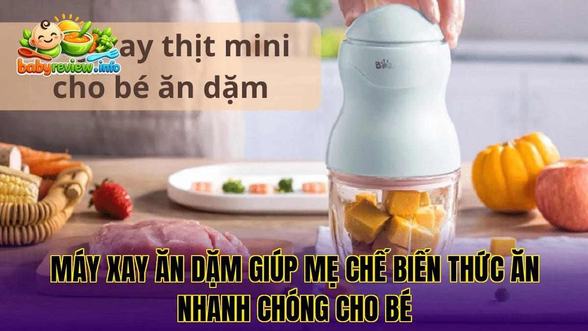 Máy xay ăn dặm giúp mẹ chế biến thức ăn nhanh chóng cho bé