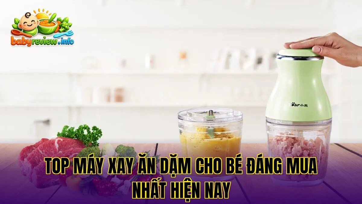 Top máy xay ăn dặm cho bé đáng mua nhất hiện nay