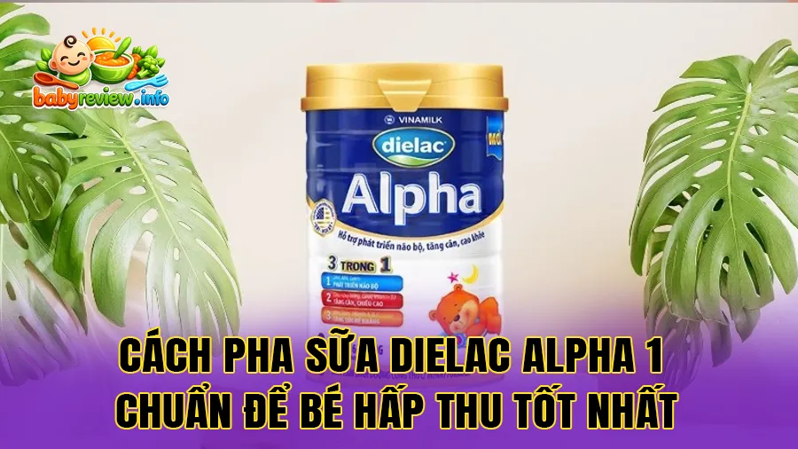 Cách pha sữa Dielac Alpha 1 chuẩn để bé hấp thu tốt nhất