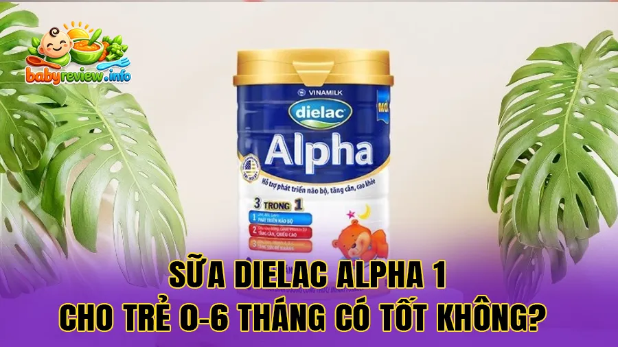 Sữa Dielac Alpha 1 Cho Trẻ 0-6 Tháng Có Tốt Không?