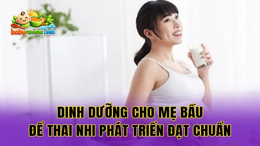Dinh dưỡng cho mẹ bầu để thai nhi phát triển đạt chuẩn
