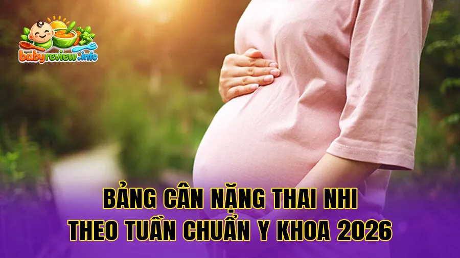 Bảng Cân Nặng Thai Nhi Theo Tuần Chuẩn Y Khoa 2026