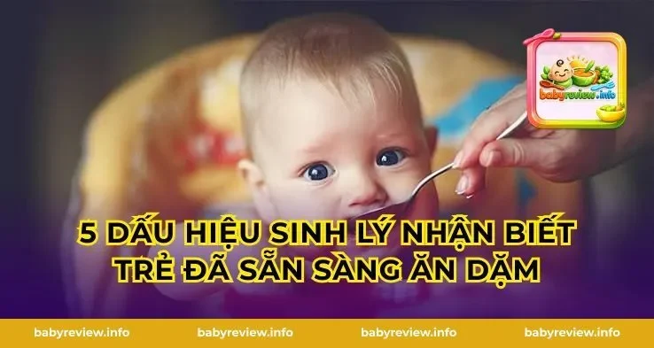 5 Dấu Hiệu Sinh Lý Nhận Biết Trẻ Đã Sẵn Sàng Ăn Dặm