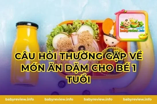 Câu hỏi thường gặp về món ăn dặm cho bé 1 tuổi