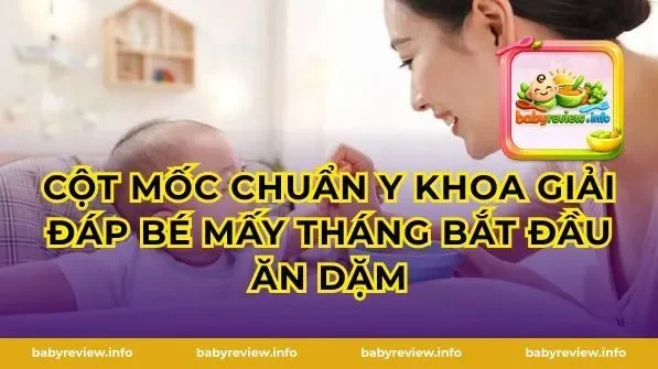 Cột Mốc Chuẩn Y Khoa Giải Đáp Bé Mấy Tháng Bắt Đầu Ăn Dặm
