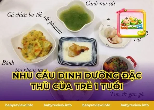Nhu cầu dinh dưỡng đặc thù của trẻ 1 tuổi