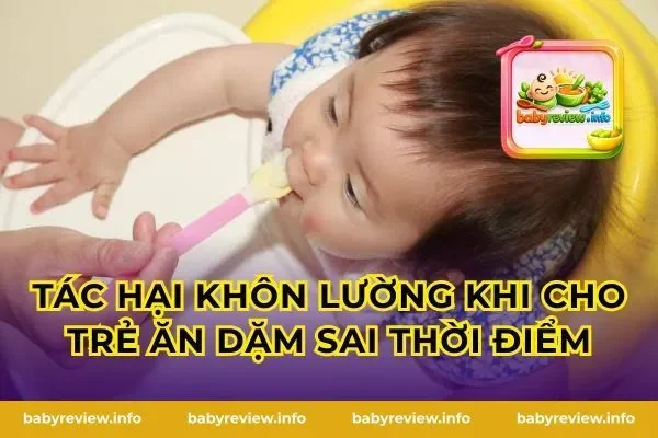 Tác Hại Khôn Lường Khi Cho Trẻ Ăn Dặm Sai Thời Điểm